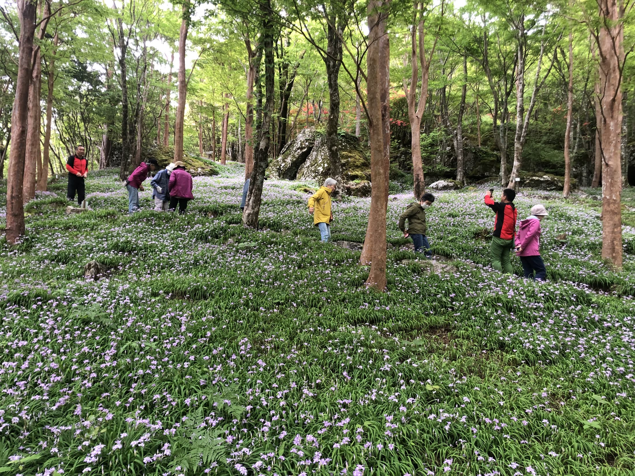 植物園をガイドと散策する団体のお客様
